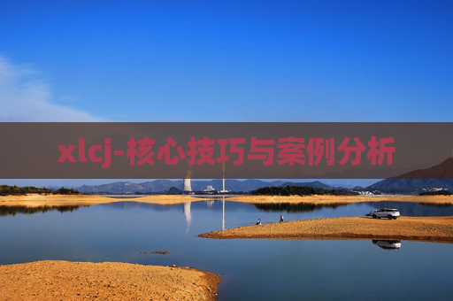 xlcj-核心技巧与案例分析