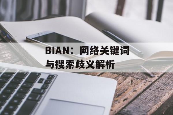 BIAN：网络关键词与搜索歧义解析