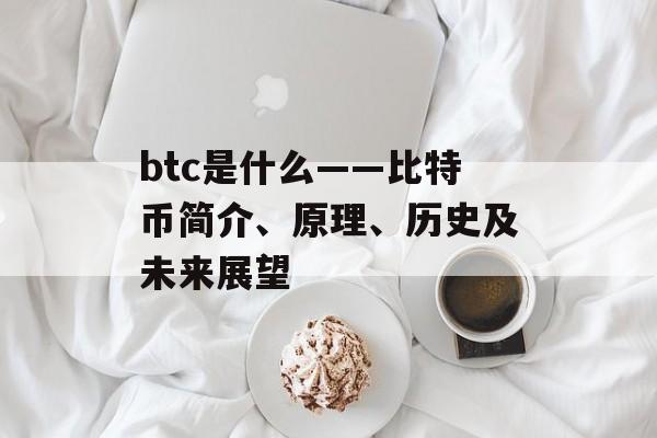 btc是什么——比特币简介、原理、历史及未来展望